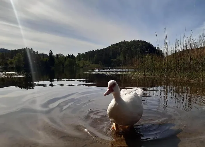 Svindland Parque de Campismo